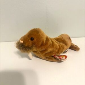 Beanie Baby Paul the Walrus
